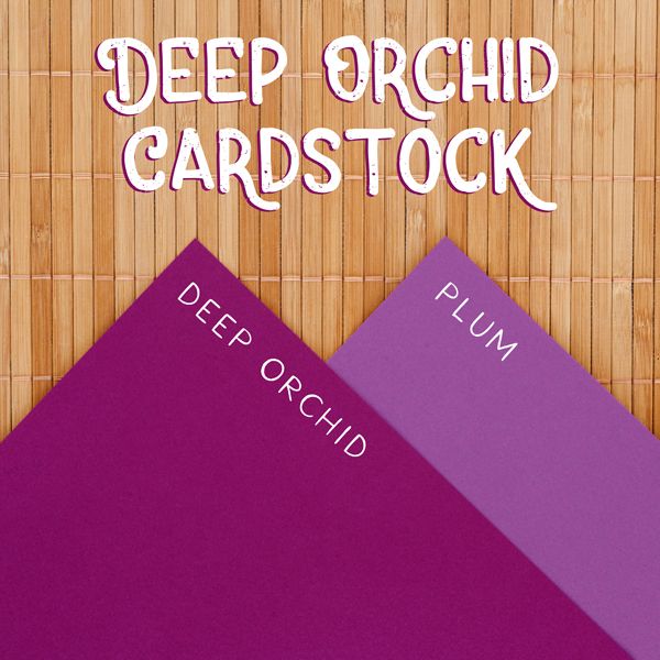 Dec 2025: Tropical Garden & Next Chapter Sale and More!