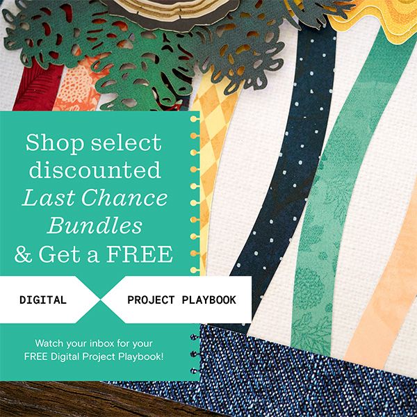 Dec 2025: Tropical Garden & Next Chapter Sale and More!